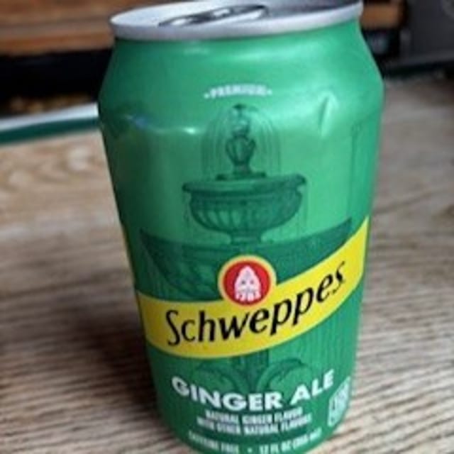 Ginger Ale, Can 12oz.